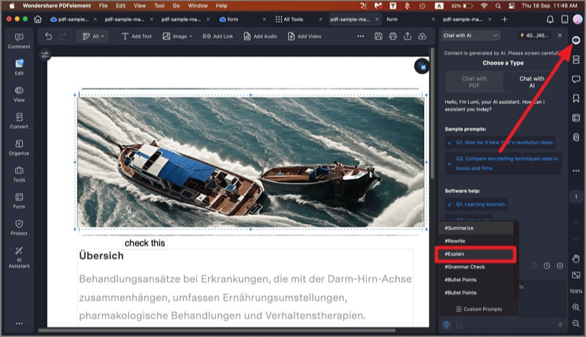 explain pdf content