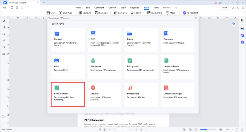 batch manage Bates Number