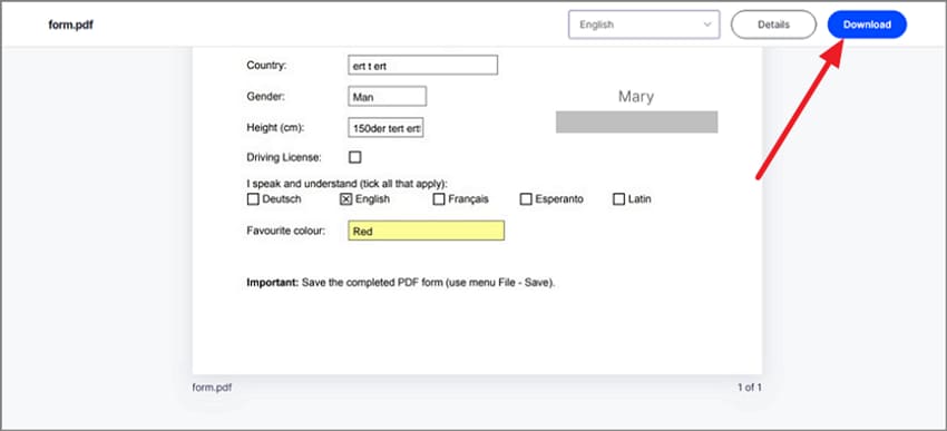 download pdf audit report