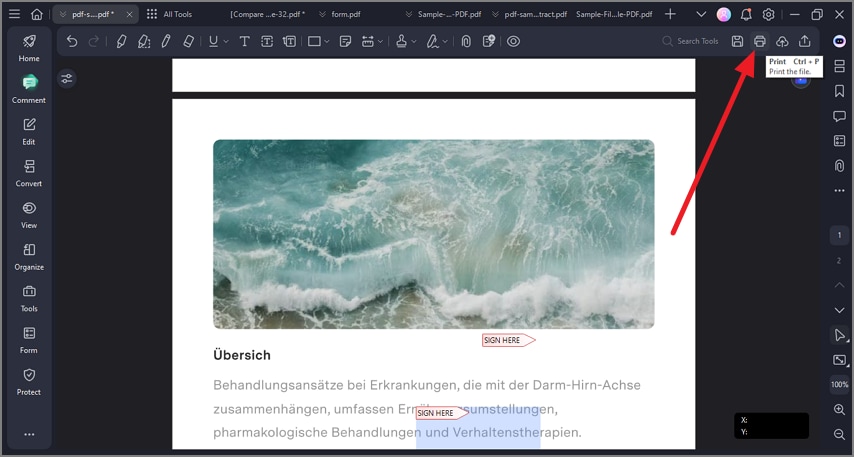 open pdf press print