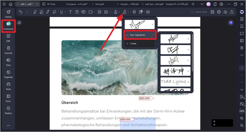 access signature icon from comment tab