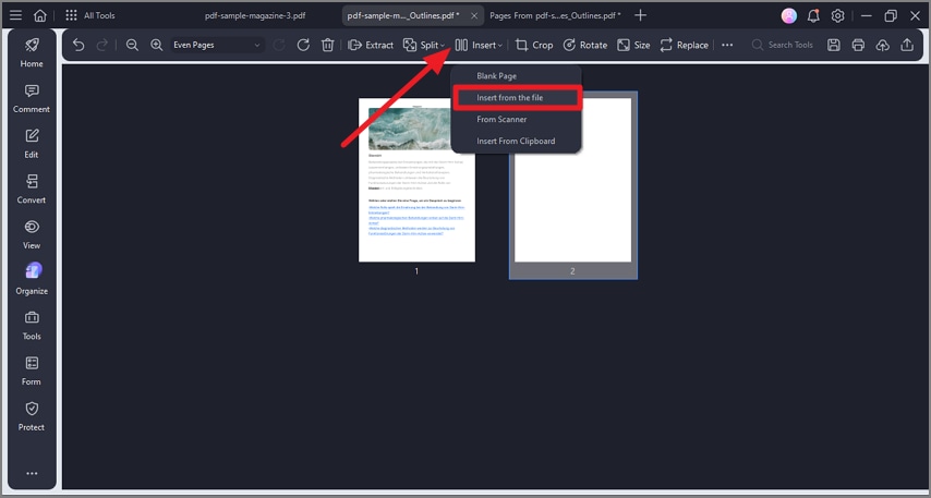 choose insert from file