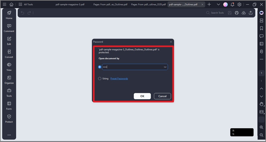 input password open document