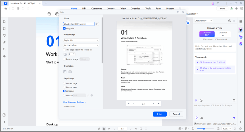 pdf-print-settings