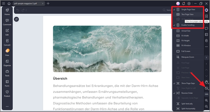 page viewing options