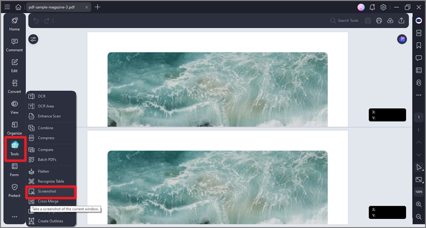 choose screenshot after pressing tools