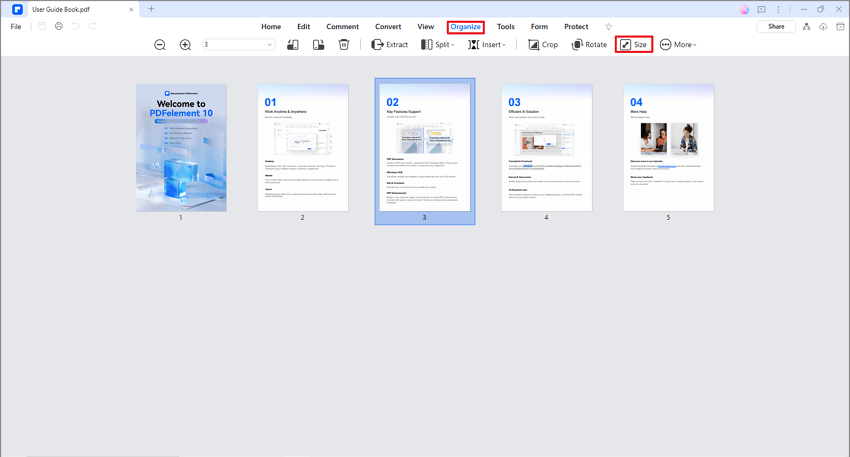 size pdf button