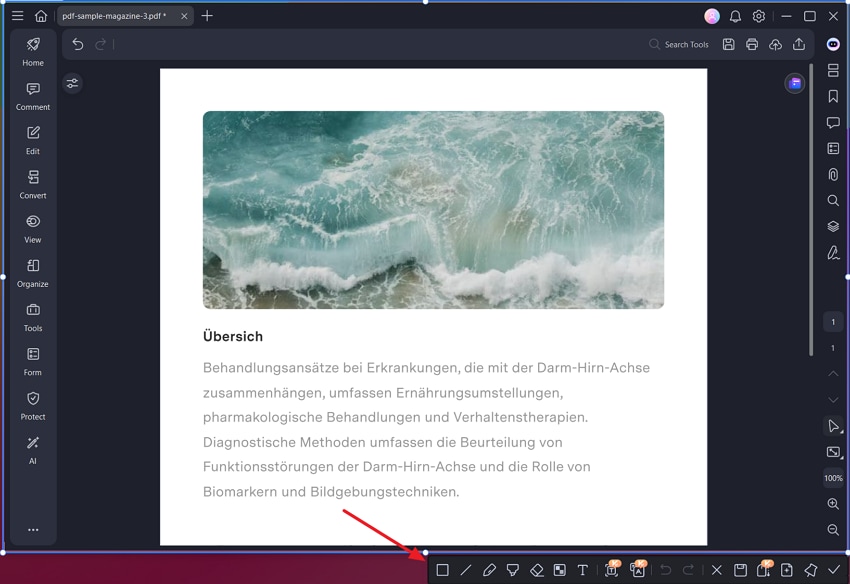 Edit Screenshot.