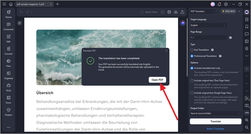 open translated pdf file