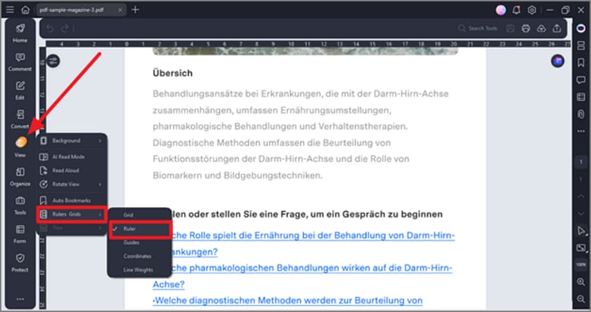 select ruler for page view