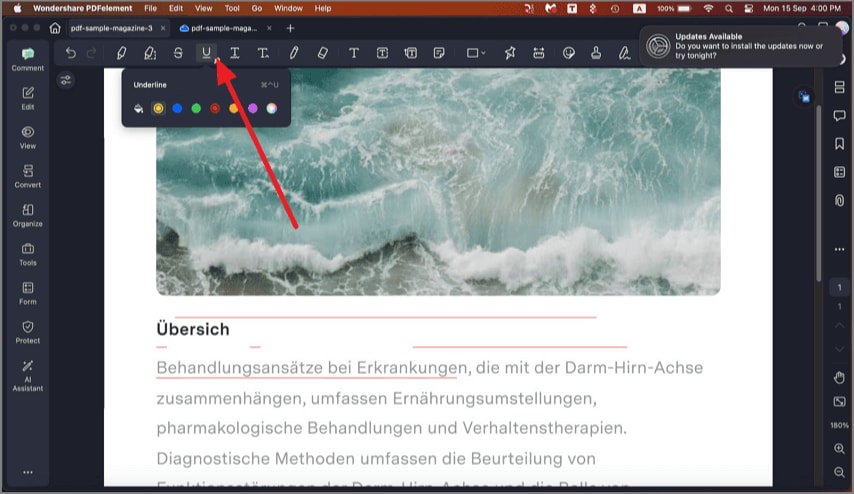 add markup options