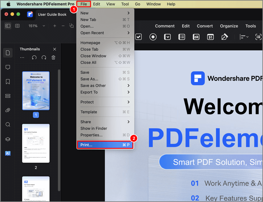 PDF drucken Option