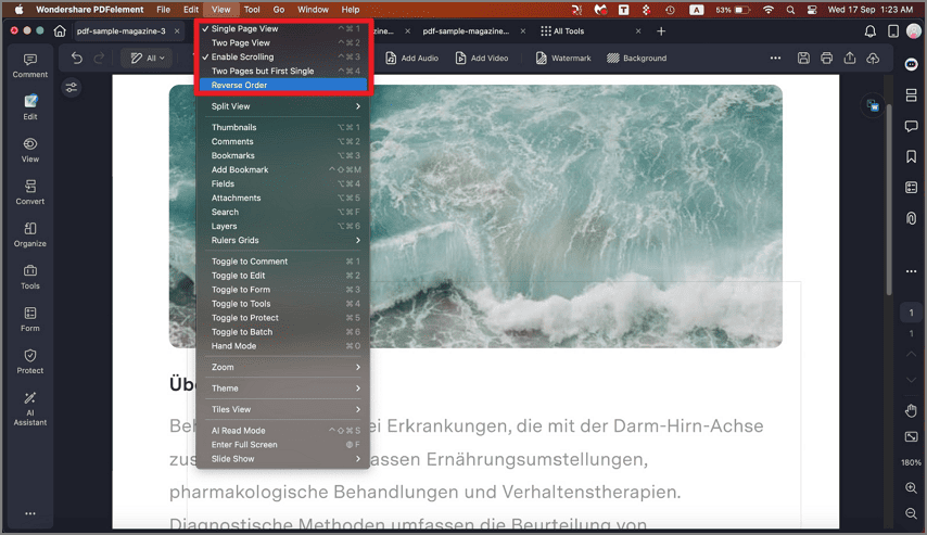Document Layout