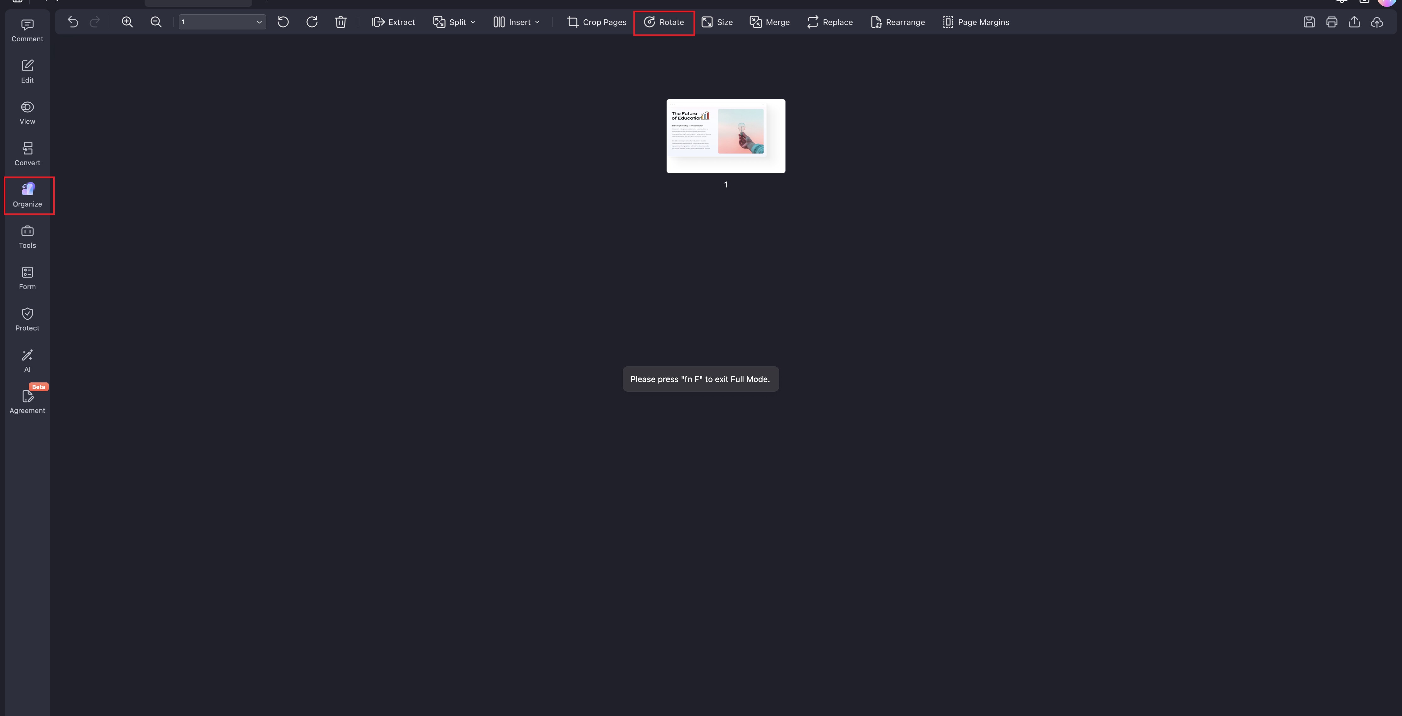 A screenshot highlighting the Organize button.