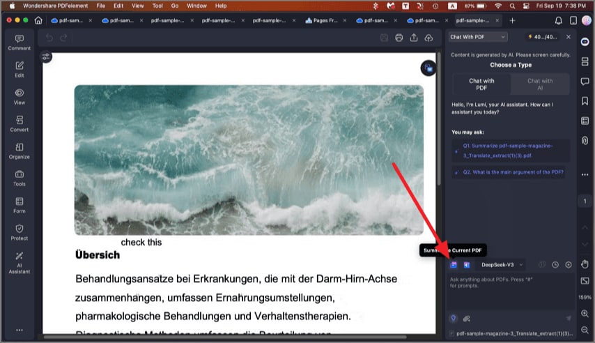 summarize pdf