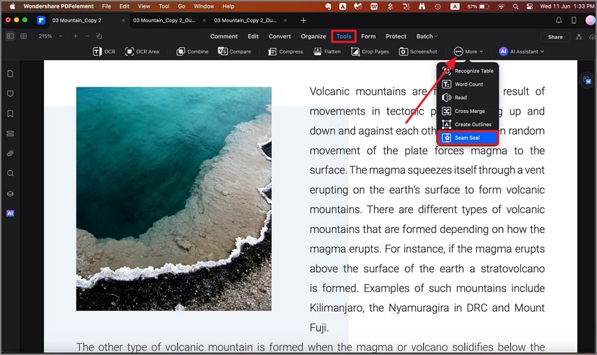 access pdfelement seam seal tool 