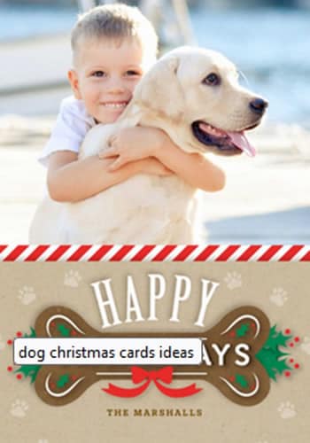 dog christmas card