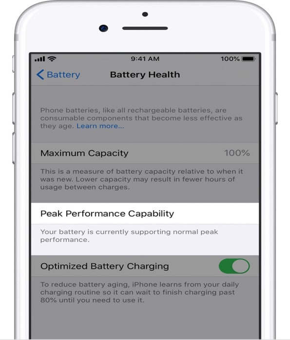 How to Check iPhone Battery Health on iOS 14