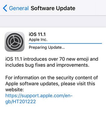 stuck issue about ios 13 update