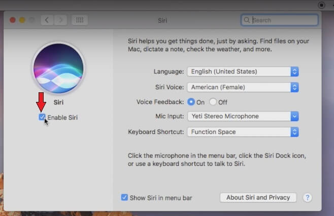 Korrekturen für die häufigsten Siri-Probleme unter Mac OS 10.15