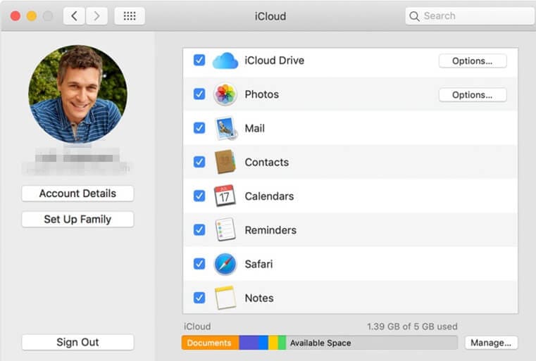 apple selection in icloud setting