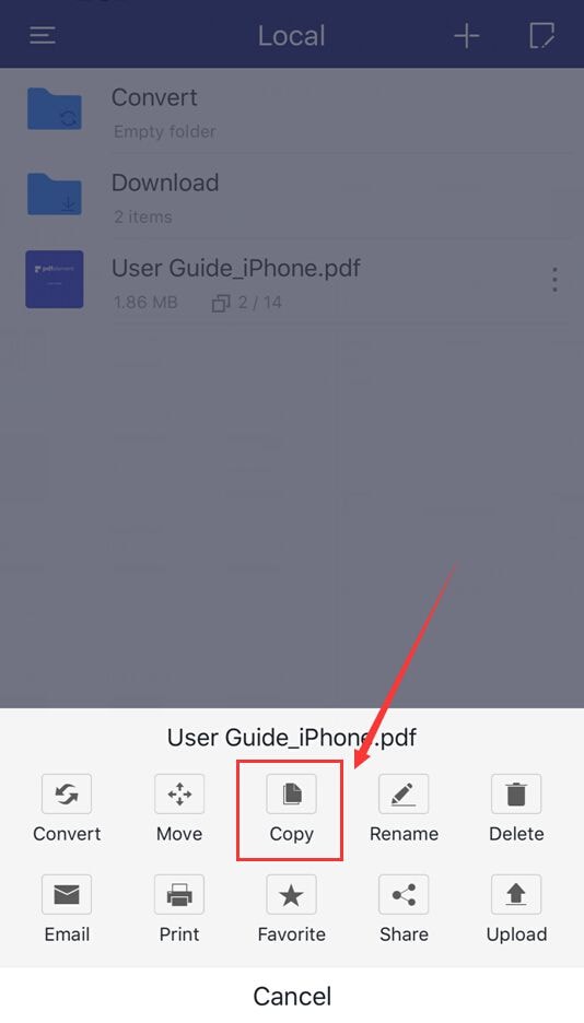 copy pdf file on iphone or ipad