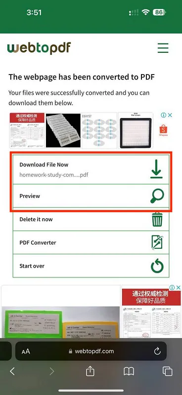 webtopdf preview