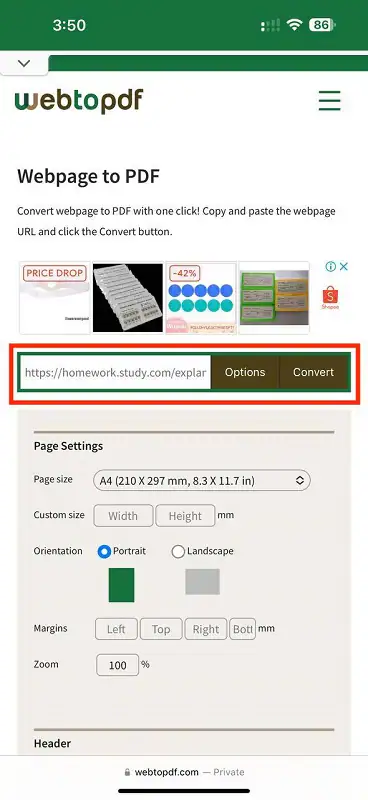 webtopdf page settings