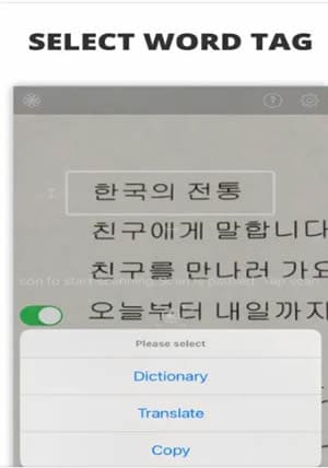 ocr Korean word dictionary option
