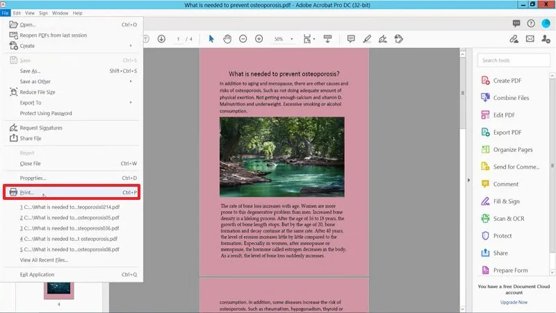 opção de imprimir do adobe acrobat