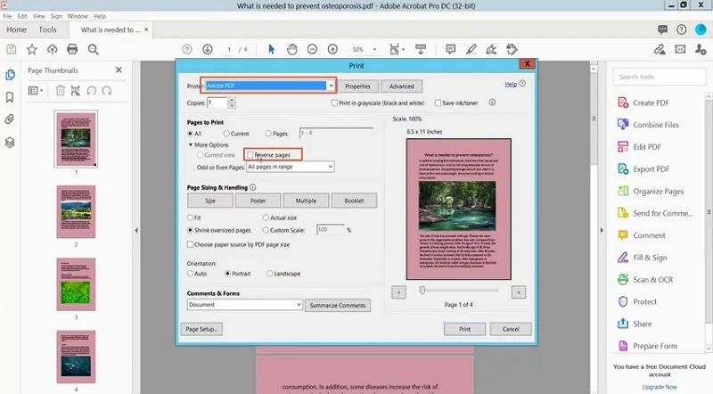 adobe acrobat finestra di stampa