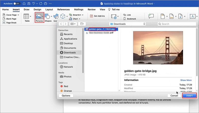 insert pdf into word as an image