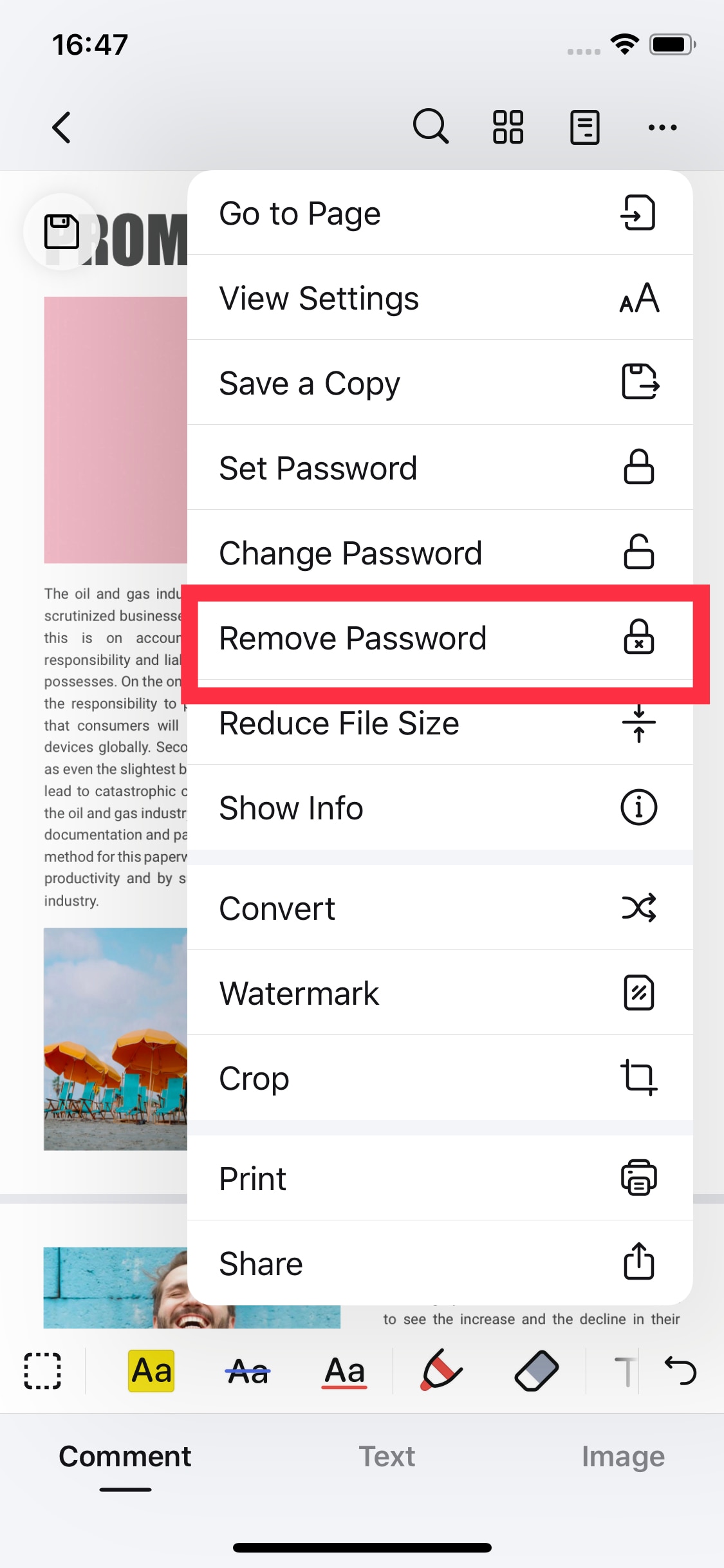 remove password in pdf