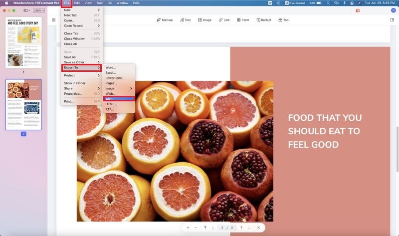 how to convert pdf to text mac
