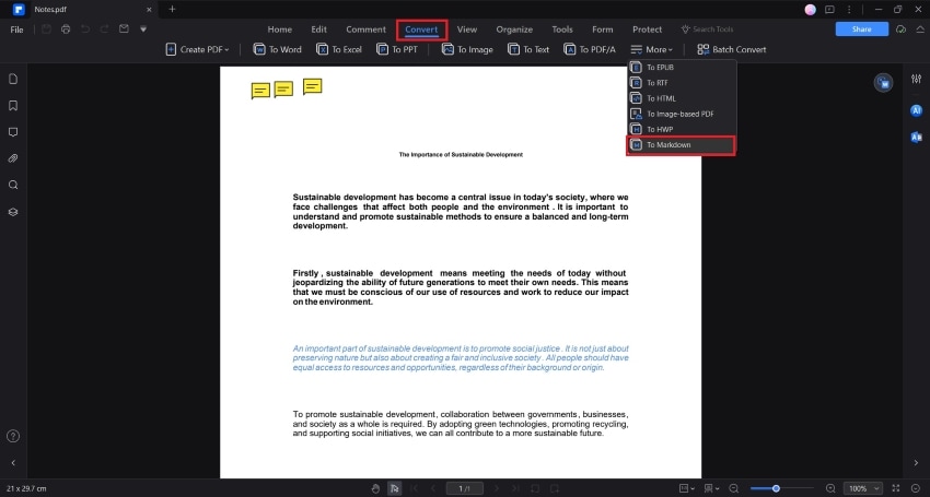 converting the pdf to markdown