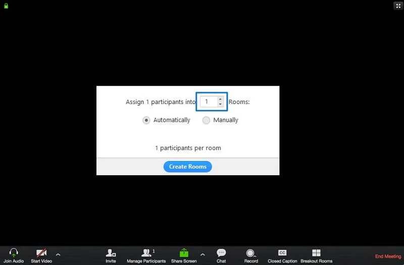 how to do zoom test call