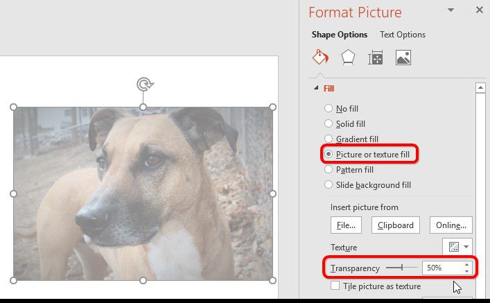 как сделать изображение прозрачным в powerpoint