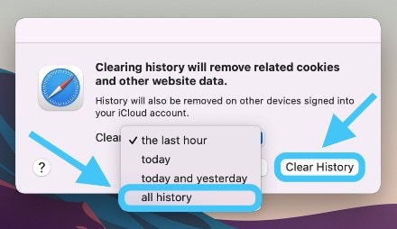 clearing all history cache and cookies