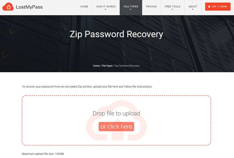 zip password recovery tool online