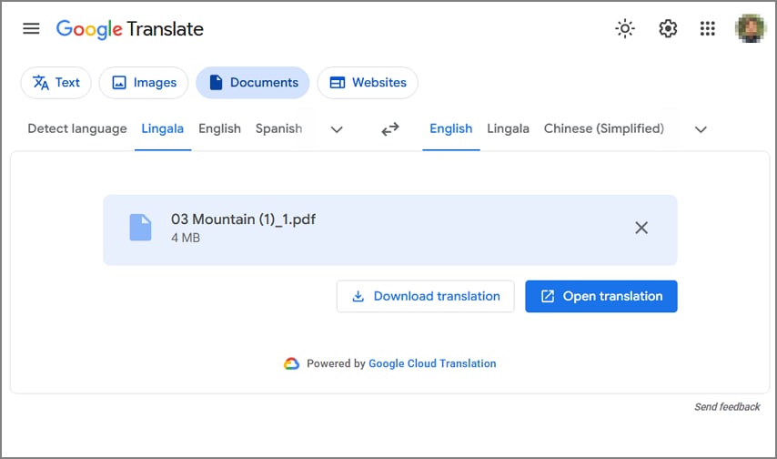 google translator pdf file