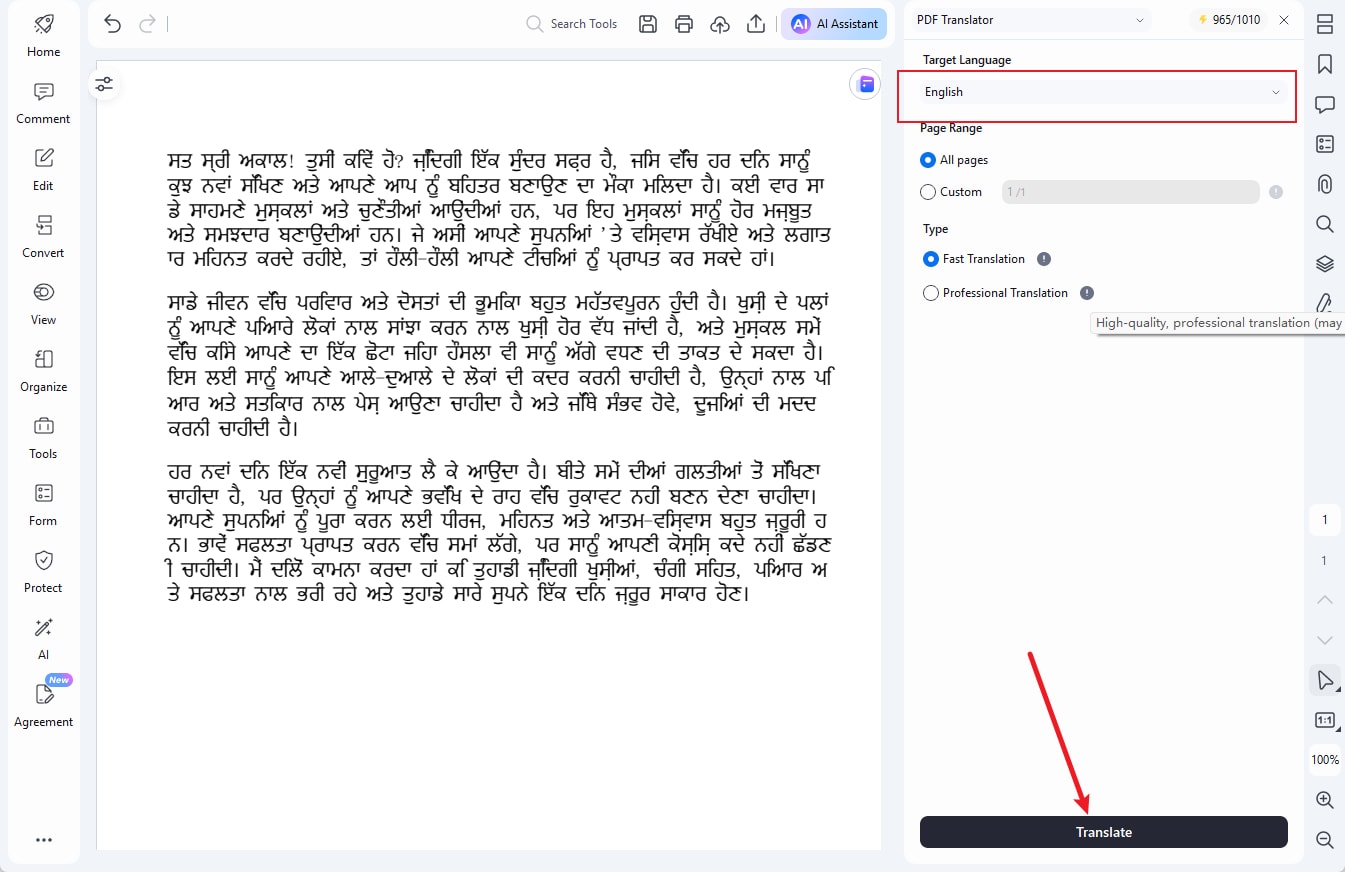translate punjabi to english pdf