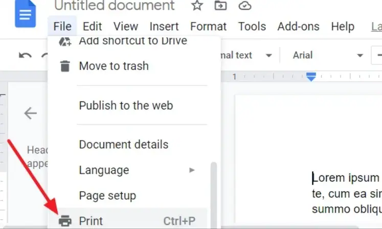 stampa PDF protetto su Google Drive