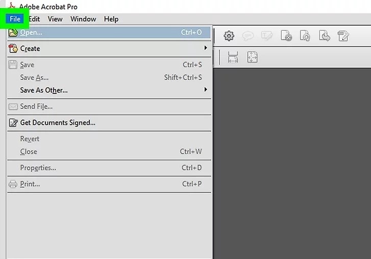 apertura del file PDF in Adobe Acrobat Pro