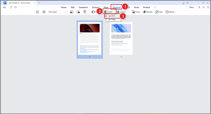 split pdf option