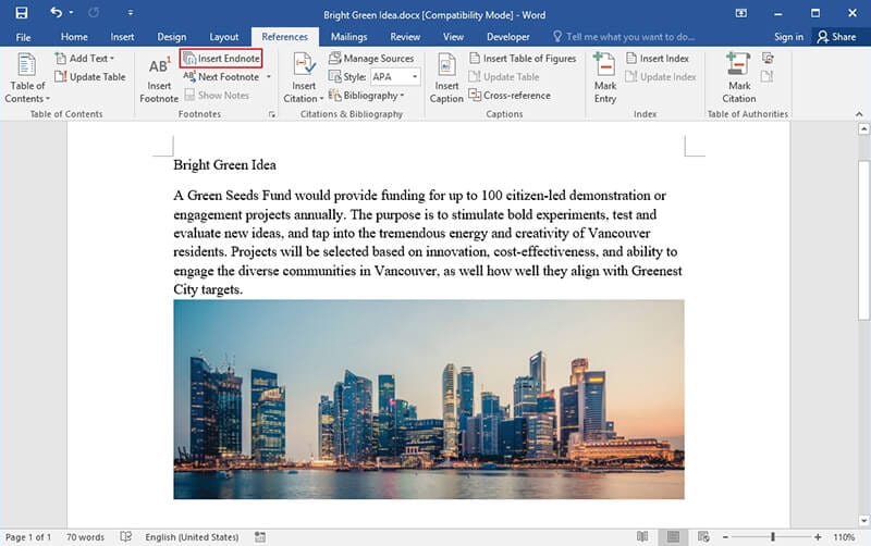 quickly insert footnootes in word for mac