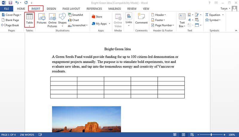 how to insert excel file in word