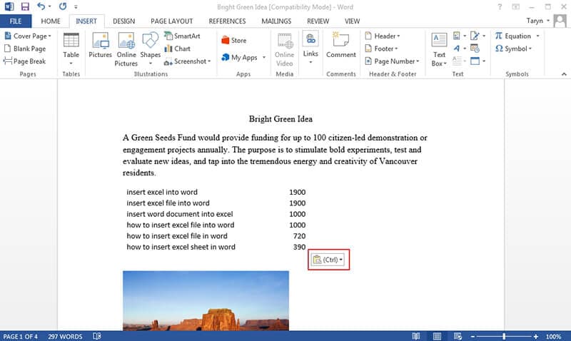 how to insert excel in word