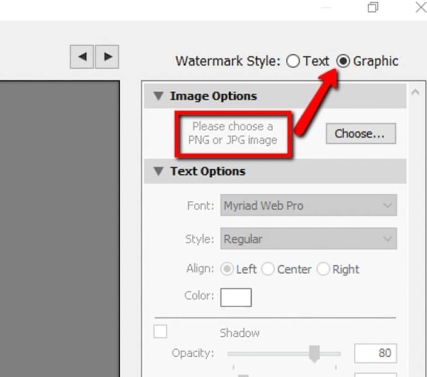 import your watermark image