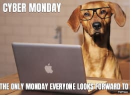 cyber monday meme with dogs