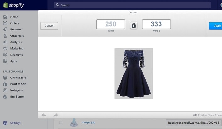 enlarge an imgage using Shopify account - enter the size